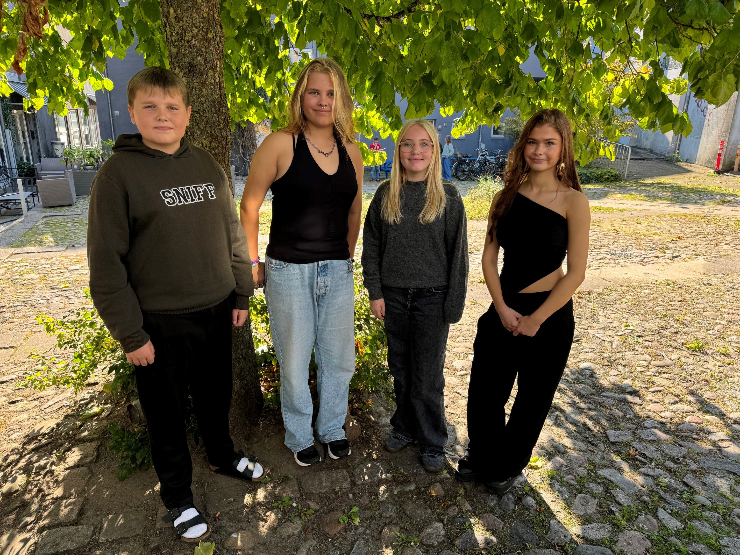 4 unge mennesker der står foran et tre
